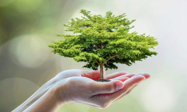 Global Holiday Where People Plant Trees