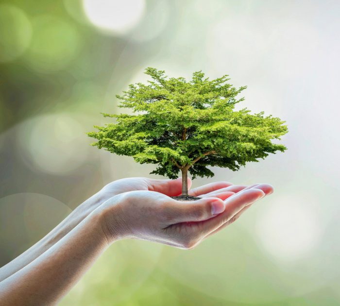 Global holiday where people plant trees