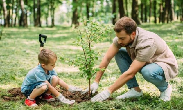 Plant a Tree on Arbor Day A Guide to Greener Futures