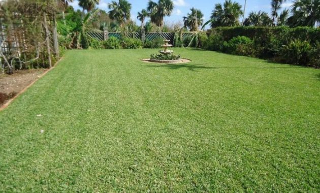 When to Plant Bermuda Grass Seed