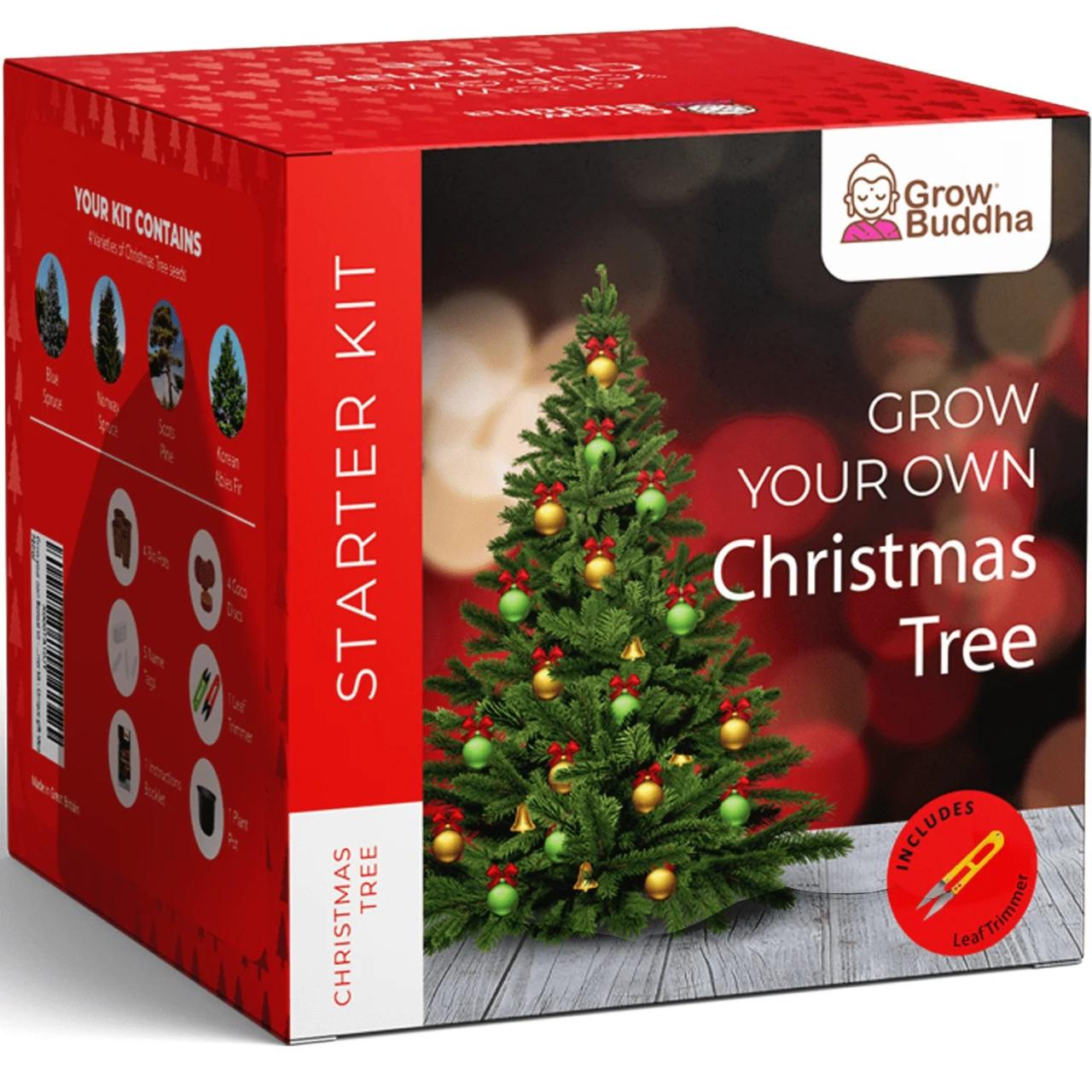 Plant your own christmas tree